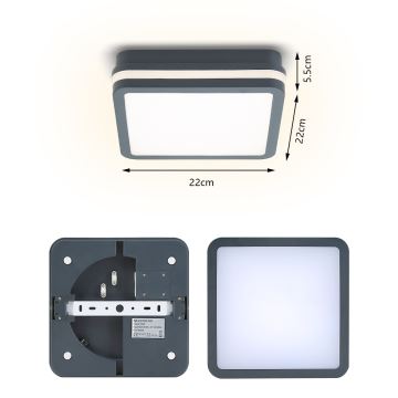 Brilagi - LED-Außenleuchte mit Sensor BENE LED/18W/230V 22x22 cm anthrazit IP54