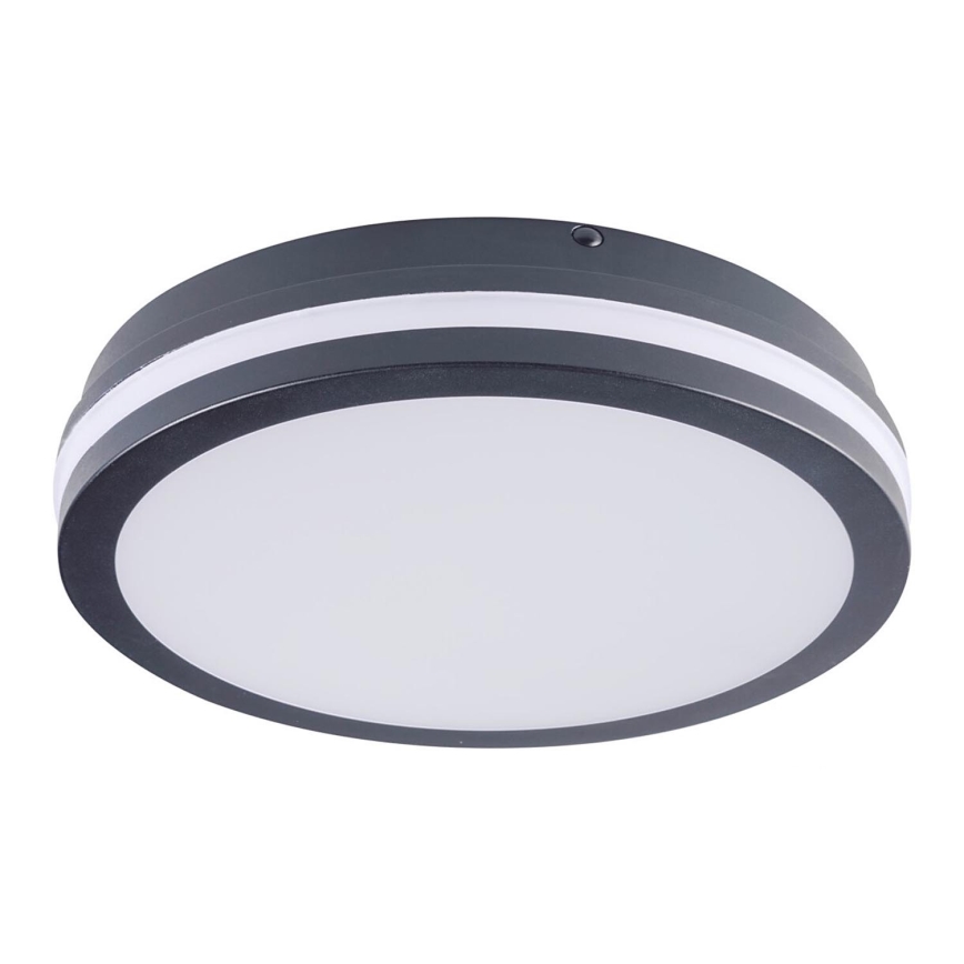 Brilagi - LED-Auβenleuchte BENE LED/24W/230V d 26 cm anthrazit IP54