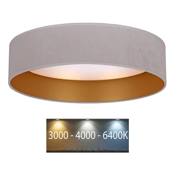 Brilagi - LED Ceiling light VELVET LED/12W/230V d. 30 cm 3000K/4000K/6400K creamy/gold