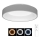 Brilagi - LED dimmbare Deckenleuchte FALCON LED/80W/230V 3000-6500K grau + Fernbedienung
