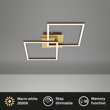 Briloner 3210-017 - Dimmbare LED-Deckenleuchte FRAME 2xLED/11W/230V golden