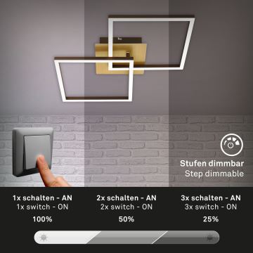 Briloner 3210-017 - Dimmbare LED-Deckenleuchte FRAME 2xLED/11W/230V golden