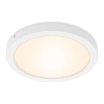 Briloner 7141-016 - LED-Deckenleuchte FIRE LED/21W/230V