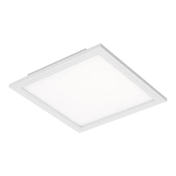 Briloner 7191-016 - LED Deckenleuchte SIMPLE LED/12W/230V