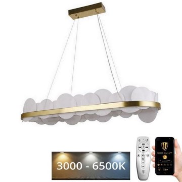 Dimmbare LED-Hängeleuchte an Schnur LED/50W/230V 3000-6500K golden + Fernbedienung