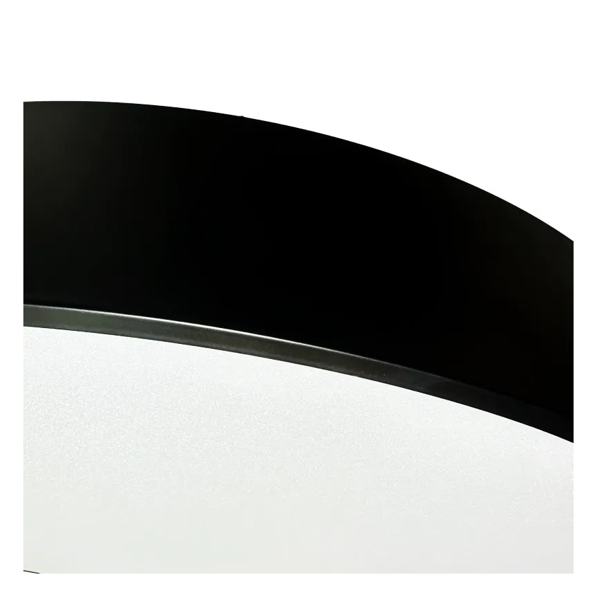 Dimmbare LED-Hängeleuchte an Schnur LED/50W/230V 3000-6500K schwarz + Fernbedienung