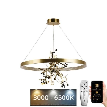 Dimmbare LED-Hängeleuchte an Schnur LED/55W/230V 3000-6500K golden + Fernbedienung