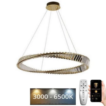 Dimmbare LED-Kristall-Hängeleuchte an Schnur LED/50W/230V 3000-6500K + Fernbedienung
