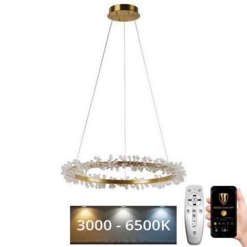 Dimmbarer LED-Kristallkronleuchter an Schnur LED/40W/230V 3000-6500K golden + Fernbedienung