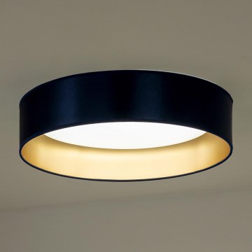 Duolla - LED-Deckenleuchte ROLLER LED/24W/230V blau/golden