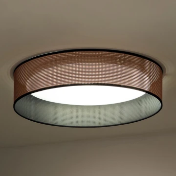 Duolla - LED-Deckenleuchte ROLLER LED/24W/230V kupfern/schwarz