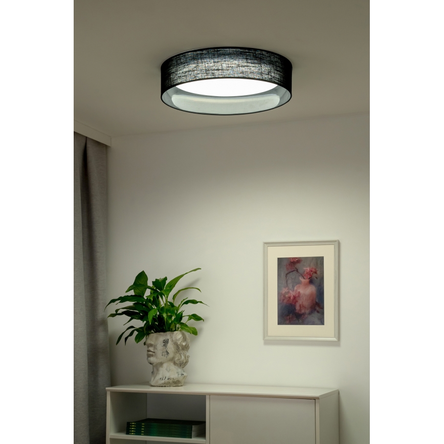 Duolla - LED-Deckenleuchte ROLLER LED/24W/230V schwarz