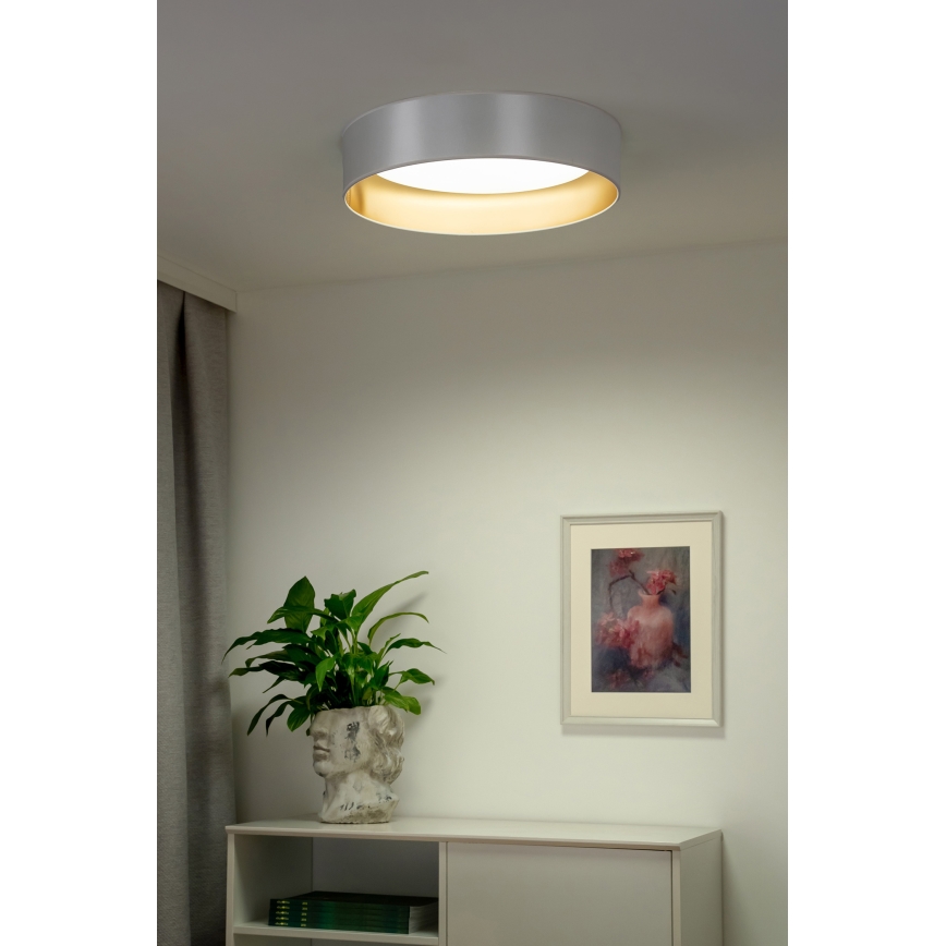 Duolla - LED-Deckenleuchte ROLLER LED/24W/230V silbern/golden