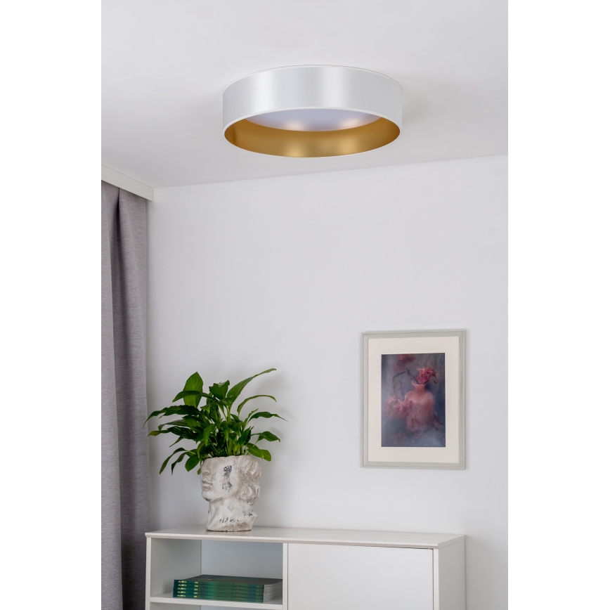 Duolla - LED-Deckenleuchte ROLLER LED/24W/230V silbern/golden