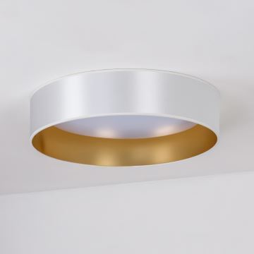 Duolla - LED-Deckenleuchte ROLLER LED/24W/230V silbern/golden