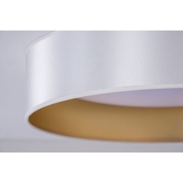 Duolla - LED-Deckenleuchte ROLLER LED/24W/230V silbern/golden