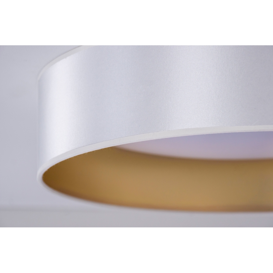 Duolla - LED-Deckenleuchte ROLLER LED/24W/230V silbern/golden