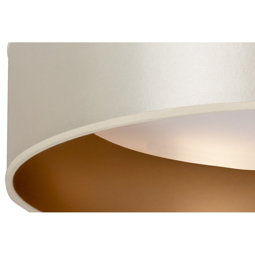 Duolla - LED-Deckenleuchte ROLLER LED/24W/230V silbern/golden