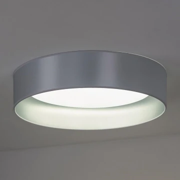 Duolla - LED-Deckenleuchte ROLLER LED/24W/230V silbern