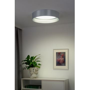 Duolla - LED-Deckenleuchte ROLLER LED/24W/230V silbern