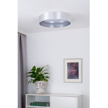 Duolla - LED-Deckenleuchte ROLLER LED/24W/230V silbern