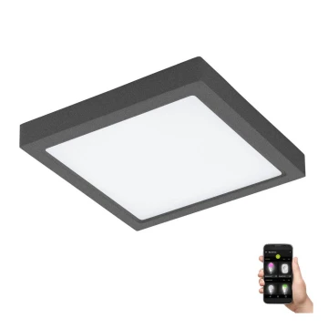 Eglo 33578 - Dimmbare LED-Leuchte für das Badezimmer ARGOLIS-C LED/22W/230V IP44 anthrazit