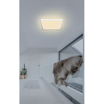 Globo - Dimmbare LED-Deckenleuchte für das Badezimmer LED/18W/230V 29,4x29,4 cm IP44 weiß