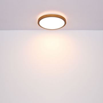 Globo - LED Ceiling light LED/24W/230V 437mm 3000/4500/6000K
