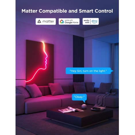 Govee - Neon 2 MATTER biegsamer LED-Streifen 5m RGBIC Wi-Fi IP67