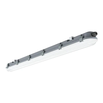 Hochleistungs-LED-Leuchtstofflampe M-SERIES LED/36W/230V 6400K 120cm IP65