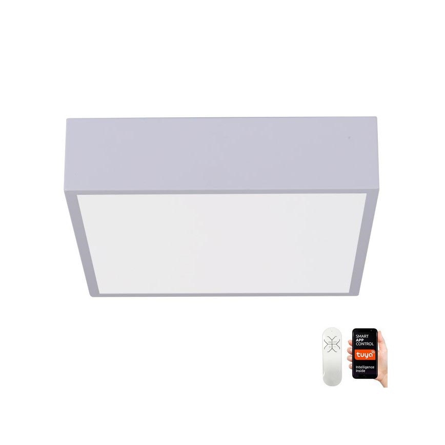 Immax NEO 07238L - Dimmbare LED-Deckenleuchte CANTO LED/22W/230V weiß Tuya + Fernbedienung