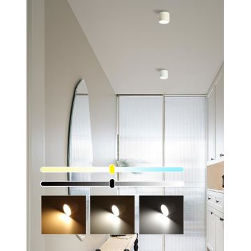 Immax NEO 07241L - Dimmbare LED-Deckenleuchte RONDATE LED/18W/230V 11,5cm Wi-Fi Tuya