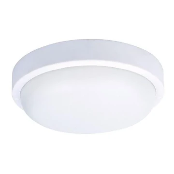 LED-Außendeckenleuchte LED/20W/230V IP54