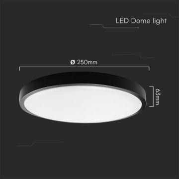 LED-Deckenleuchte für Badezimmer LED/18W/230V IP44 4000K d 25 cm schwarz