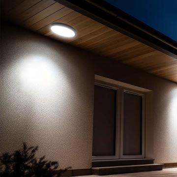 LED-Deckenleuchte für Badezimmer LED/24W/230V 6500K IP44 schwarz