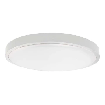 LED-Deckenleuchte für Badezimmer LED/36W/230V 4000K IP44 weiß