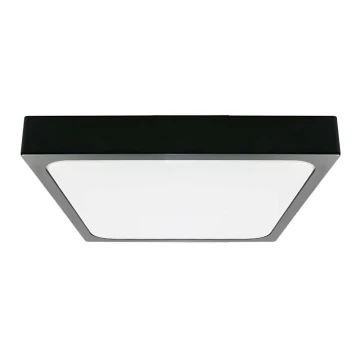 LED-Deckenleuchte fürs Badezimmer LED/18W/230V 6500K IP44 schwarz