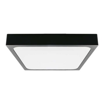 LED-Deckenleuchte fürs Badezimmer LED/24W/230V 6500K IP44 schwarz