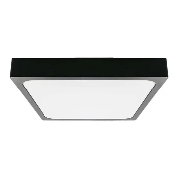 LED-Deckenleuchte fürs Badezimmer LED/24W/230V 6500K IP44 schwarz