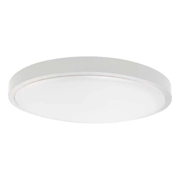 LED-Deckenleuchte fürs Badezimmer LED/30W/230V 4000K IP44 weiß