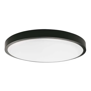 LED-Deckenleuchte fürs Badezimmer LED/30W/230V 6500K IP44 schwarz