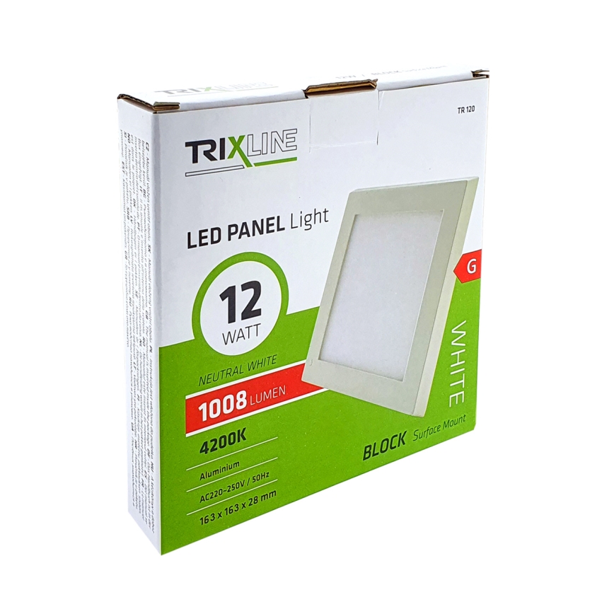 LED Deckenleuchte LED/12W/230V 4200K