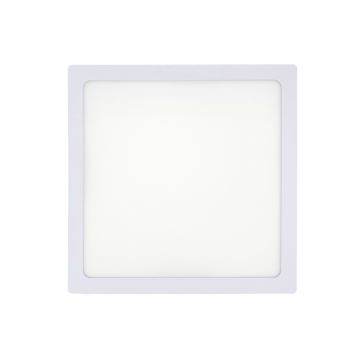 LED Deckenleuchte LED/18W/230V 2700K