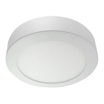 LED Deckenleuchte LED/18W/230V 4200K