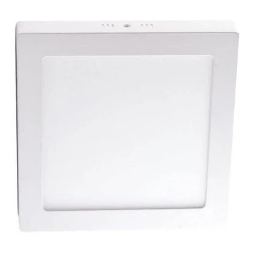 LED-Deckenleuchte LED/6W/230V 4000K 12x12 cm