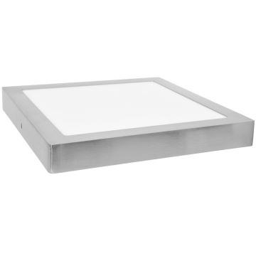 LED Deckenleuchte RAFA LED/25W/230V 4100K