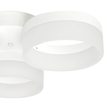 LED Deckenleuchte RING 3xLED/12W/230V weiß