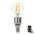 LED-Glühbirne FILAMENT G45 E14/4,5W/230V 2700-6500K - Aigostar