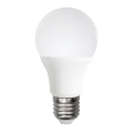 LED-Glühlampe A60 E27/12W/230V 6500K - Aigostar