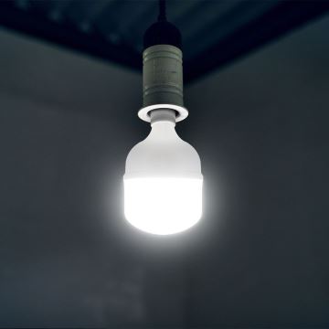 LED-Glühlampe T80 E27/20W/230V 6500K